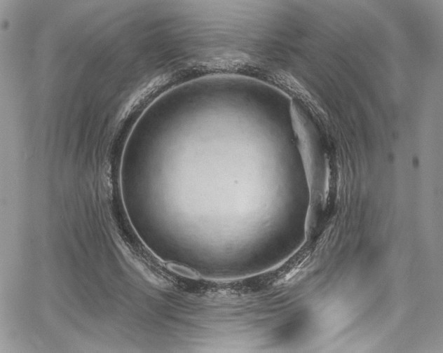 X0000068310634200604211205