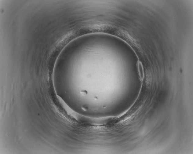 X0000068310637200604211205