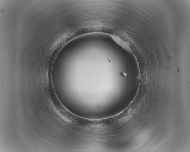 X0000068310638200604211205