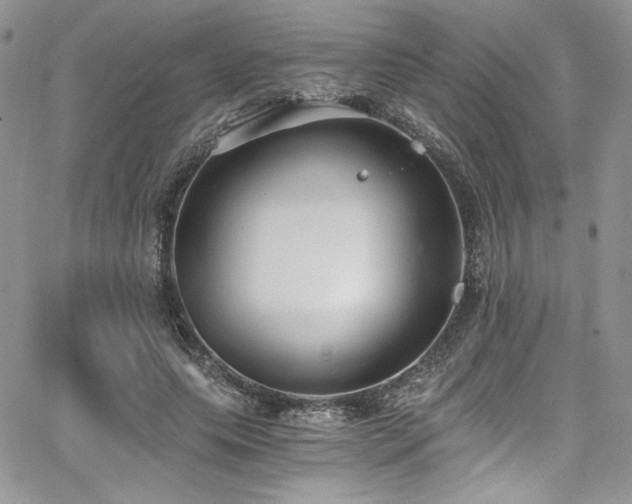 X0000068310639200604211205