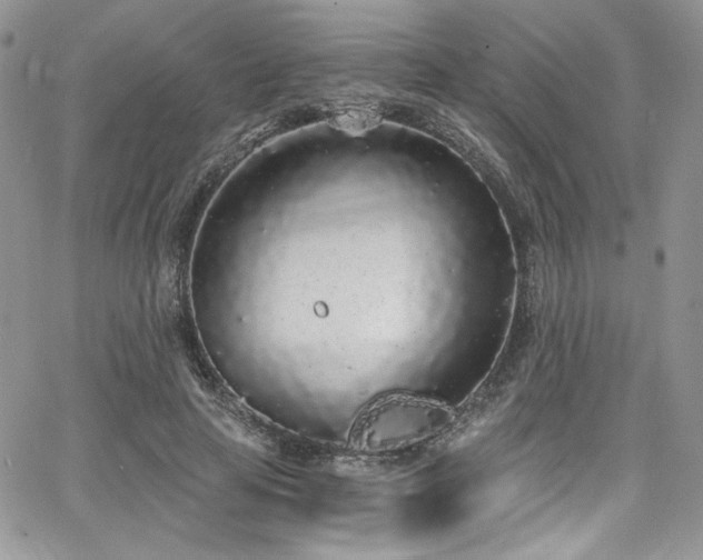 X0000068310641200604211205