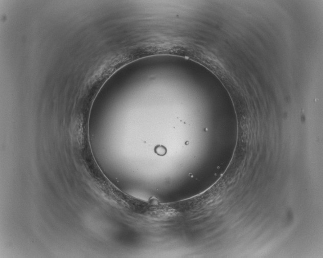 X0000068310642200604211205