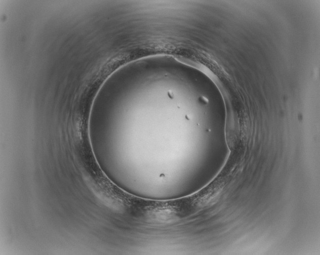 X0000068310643200604211205