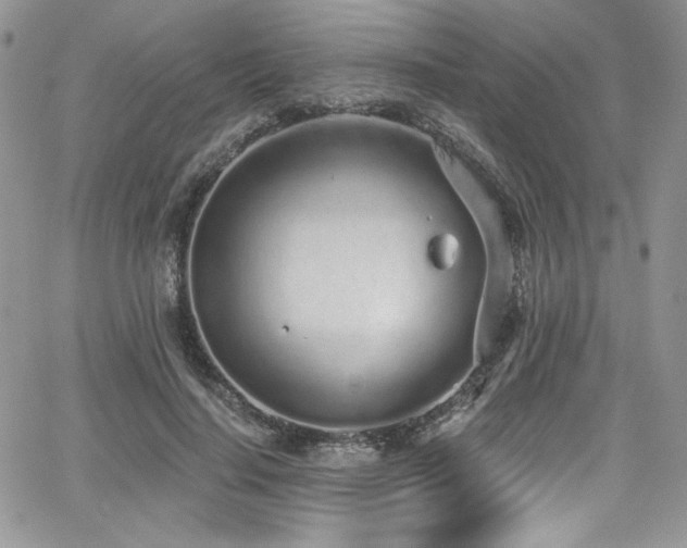 X0000068310644200604211205