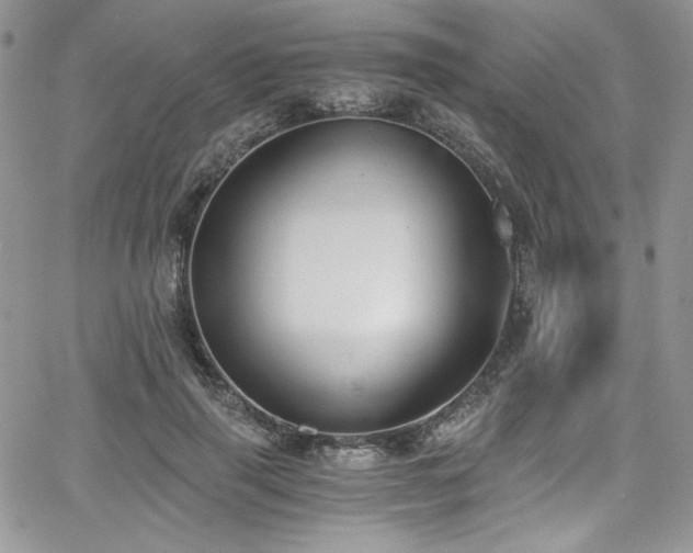 X0000068310645200604211205