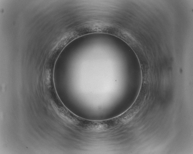 X0000068310646200604211205