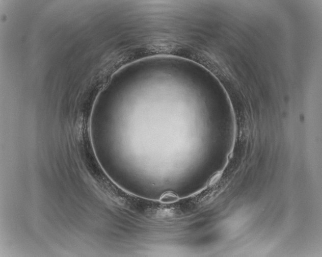 X0000068310647200604211205