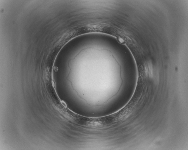 X0000068310649200604211205