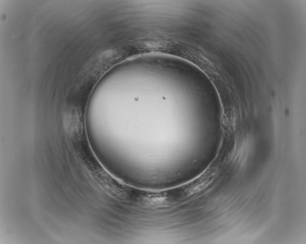 X0000068310651200604211205