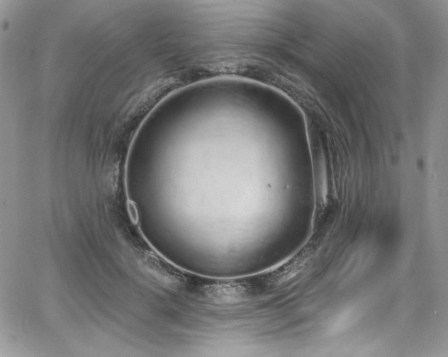 X0000068310652200604211205