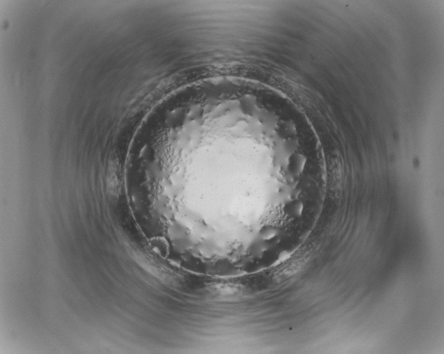 X0000068310654200604211205