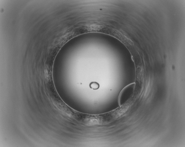 X0000068310655200604211205