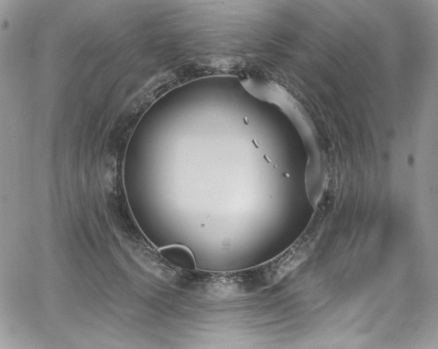 X0000068310656200604211205