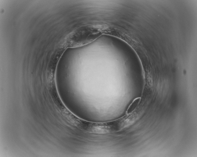 X0000068310657200604211205