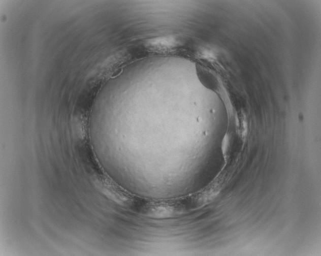 X0000068310658200604211205