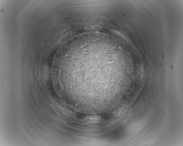 X0000068310659200604211205