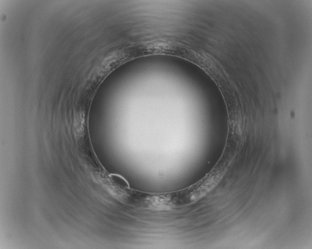 X0000068310660200604211205