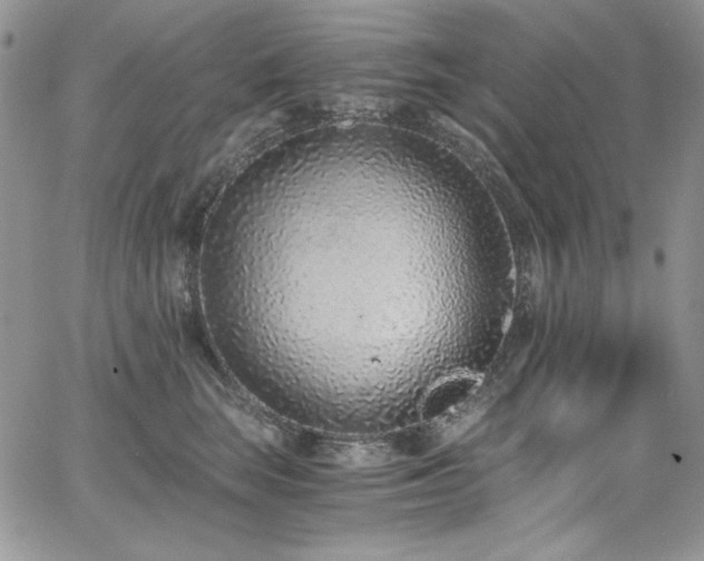 X0000068310663200604211205