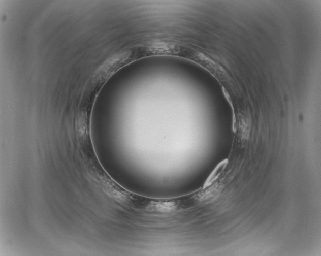 X0000068310665200604211205