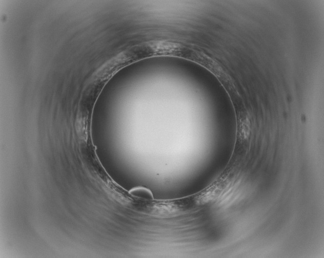 X0000068310666200604211205