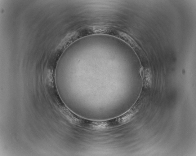 X0000068310667200604211205