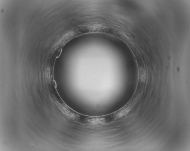 X0000068310670200604211205