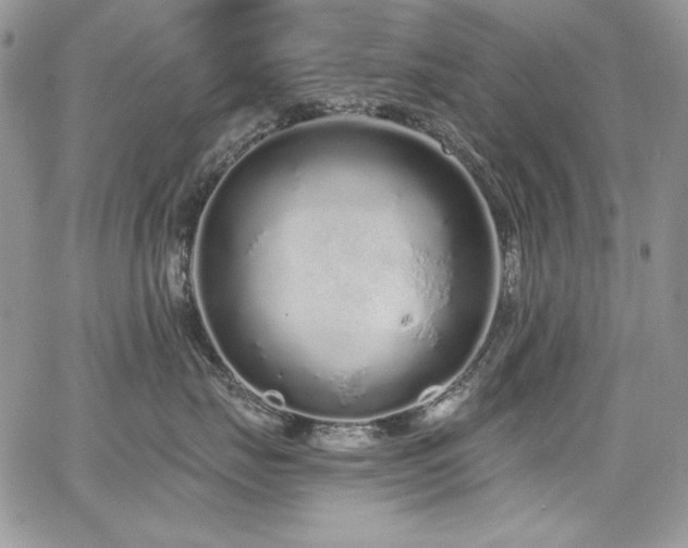 X0000068310671200604211205