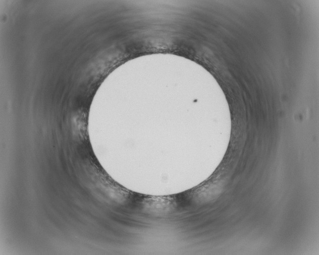 X0000068310672200604211205