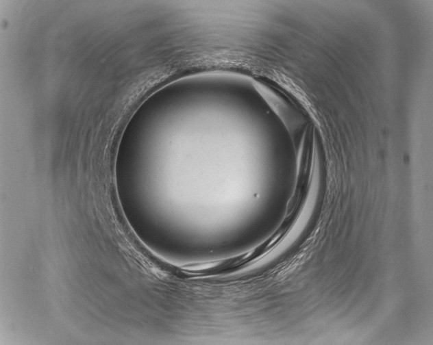 X0000068310673200604211205