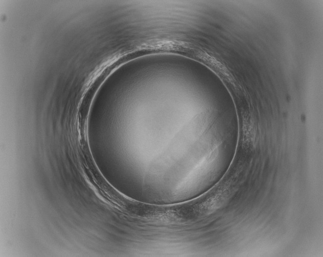 X0000068310674200604211205