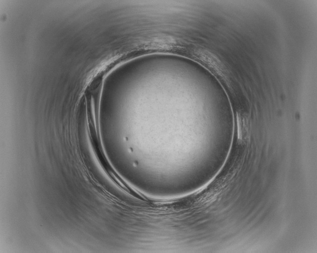 X0000068310675200604211205