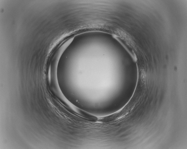 X0000068310676200604211205