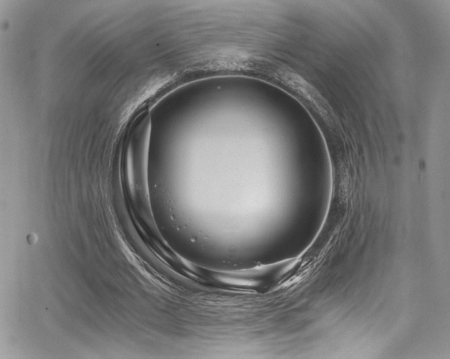 X0000068310677200604211205