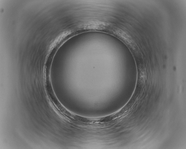 X0000068310678200604211205