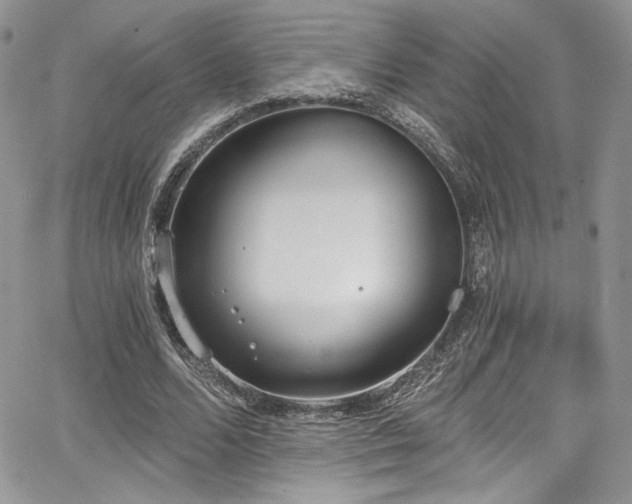 X0000068310680200604211205