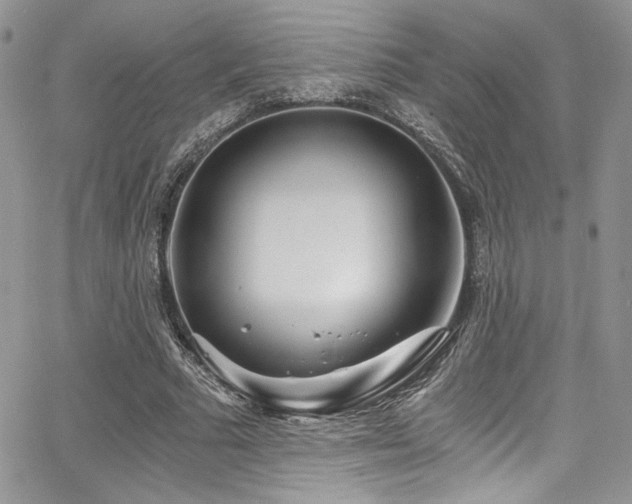 X0000068310681200604211205