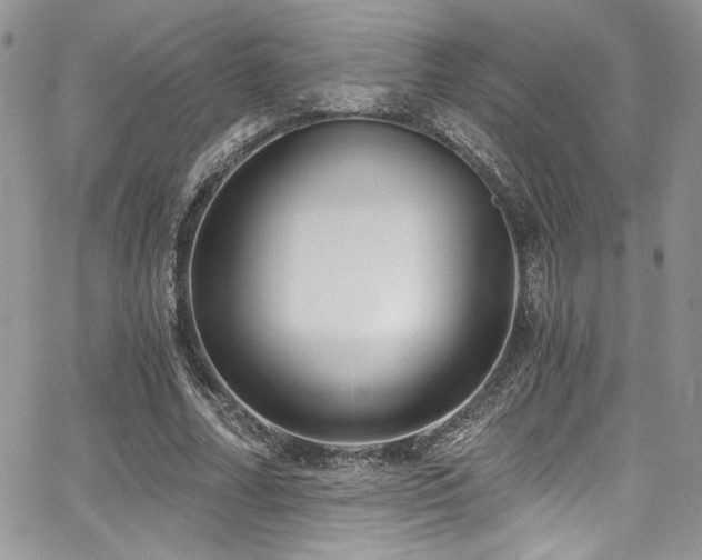 X0000068310682200604211204