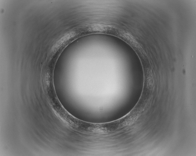 X0000068310683200604211204