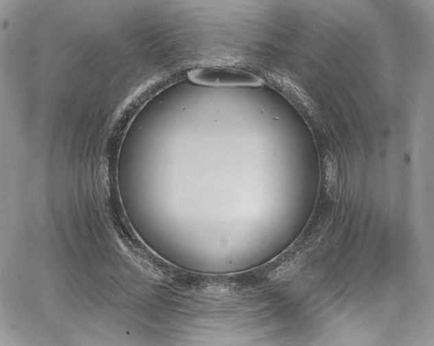 X0000068310684200604211204