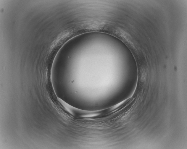 X0000068310685200604211204