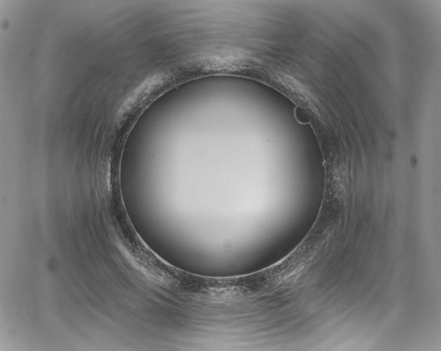 X0000068310686200604211204