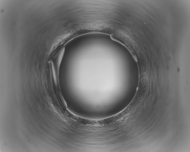 X0000068310688200604211204