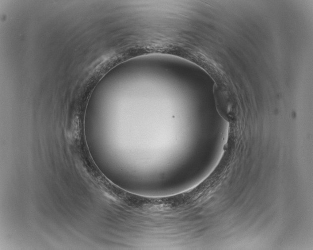 X0000068310689200604211204