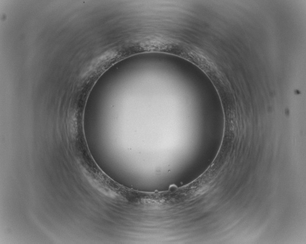 X0000068310690200604211204