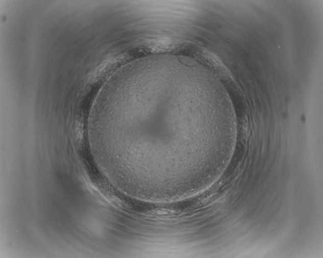 X0000068310691200604211204