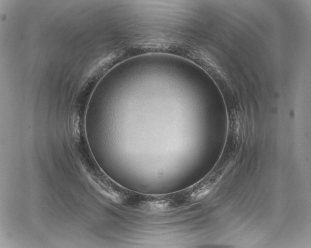 X0000068310692200604211204