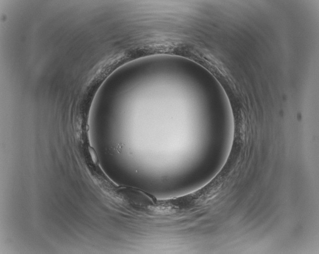 X0000068310693200604211204