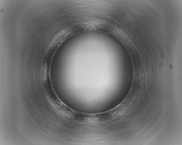 X0000068310694200604211204