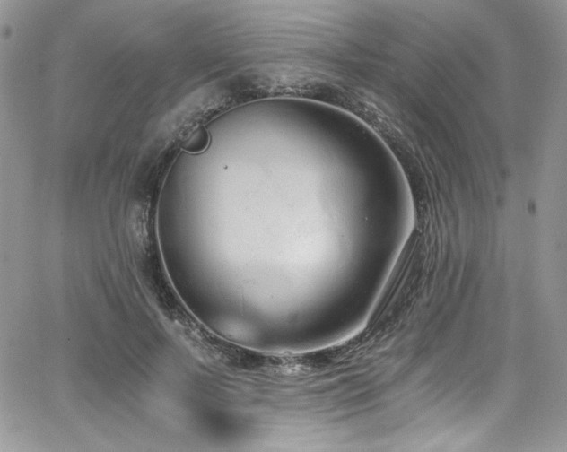 X0000068310695200604211204