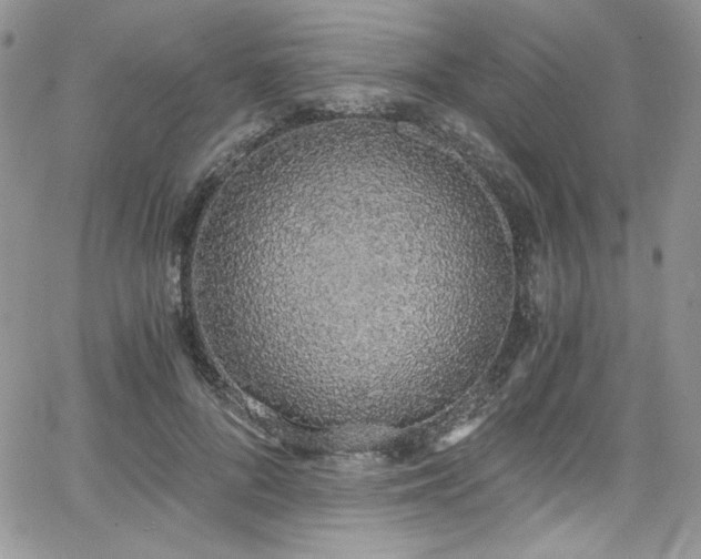 X0000068310696200604211204